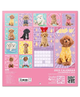 Studio Pets Poodle - kalendarz 2025
