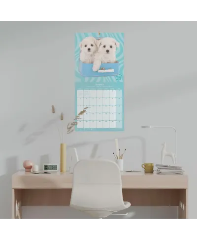 Studio Pets Poodle - kalendarz 2025