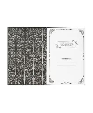 Harry Potter Lumos Maxima - notes A5 z długopisem