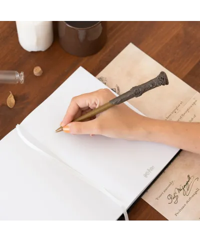 Harry Potter Lumos Maxima - notes A5 z długopisem