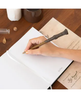 Harry Potter Lumos Maxima - notes A5 z długopisem