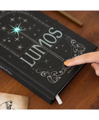 Harry Potter Lumos Maxima - notes A5 z długopisem