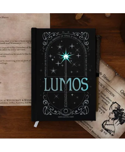 Harry Potter Lumos Maxima - notes A5 z długopisem