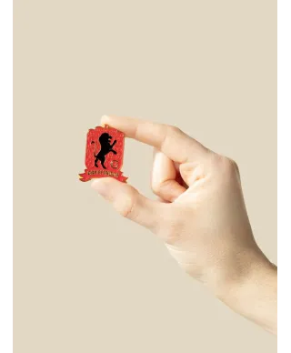 Harry Potter Hogwarts Houses - zestaw 4 przypinek