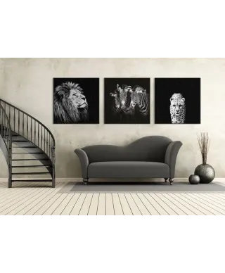 Majesty - Obraz na płótnie