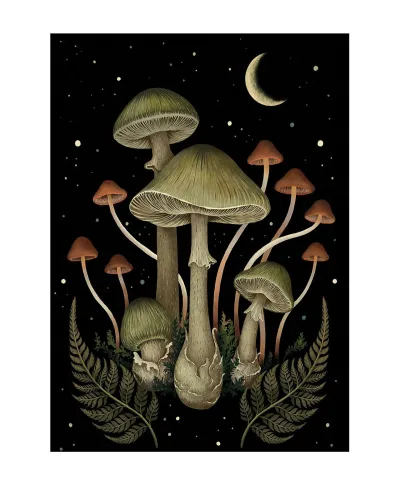 Episodic Drawing Death Cap - pocztówka