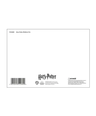 Harry Potter Platform 9¾ - pocztówka