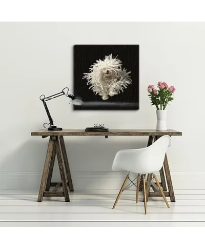 Flying Mop - Obraz na płótnie