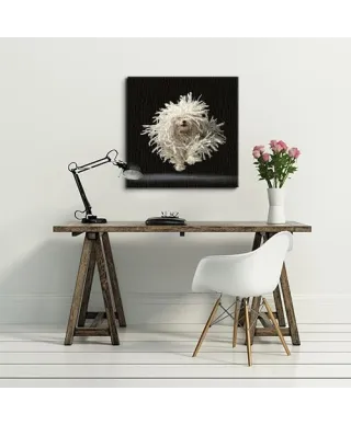 Flying Mop - Obraz na płótnie