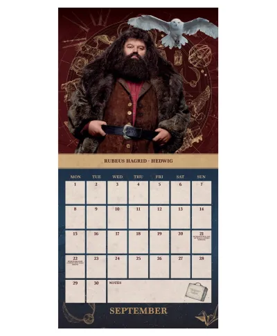 Harry Potter - mini kalendarz 2025