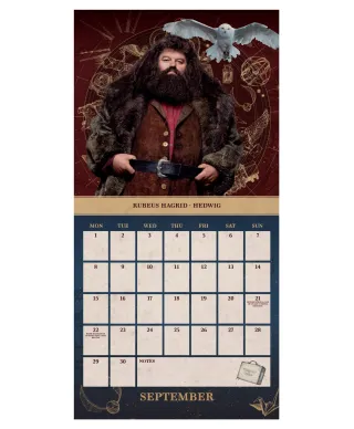 Harry Potter - mini kalendarz 2025
