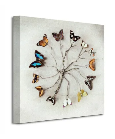 Obraz do salonu - Butterfly Harmony