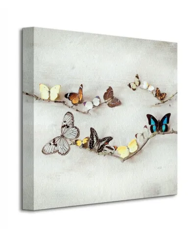 Obraz do salonu - Array Of Butterflies