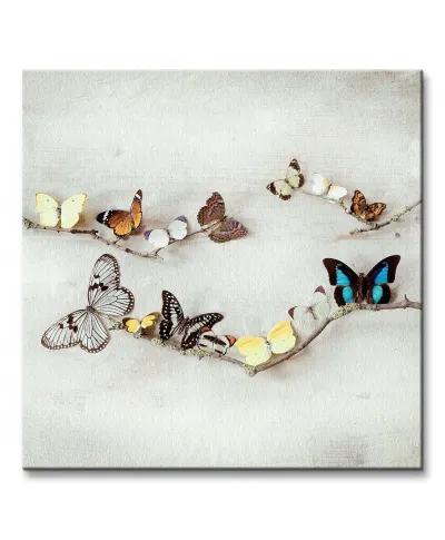 Obraz do salonu - Array Of Butterflies