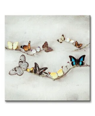 Obraz do salonu - Array Of Butterflies