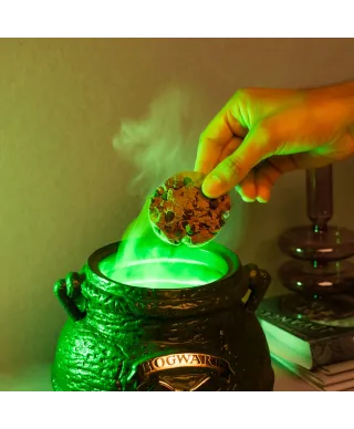 Harry Potter The Leaky Cauldron - pojemnik z pokrywką