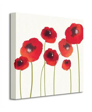 Obraz do sypialni - Poppies