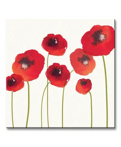Obraz do sypialni - Poppies