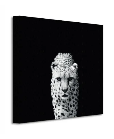 Obraz do salonu - Acinonyx Jubatus