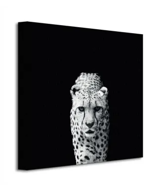 Obraz do salonu - Acinonyx Jubatus