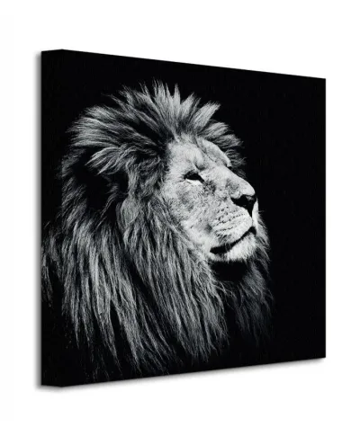 Obraz do salonu - Majesty