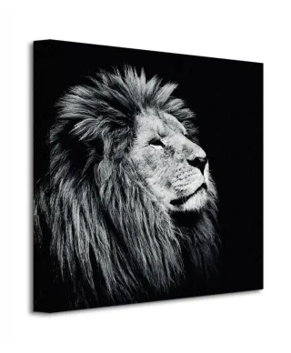 Obraz do salonu - Majesty