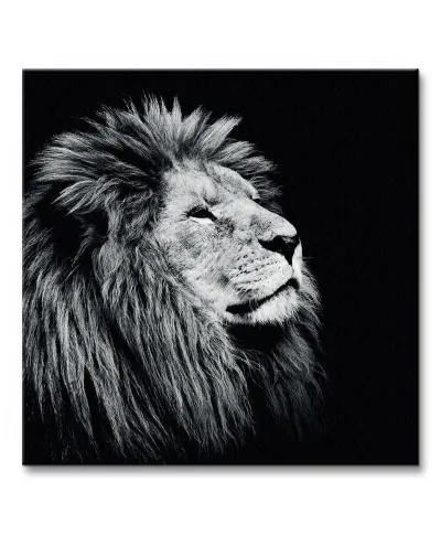 Obraz do salonu - Majesty