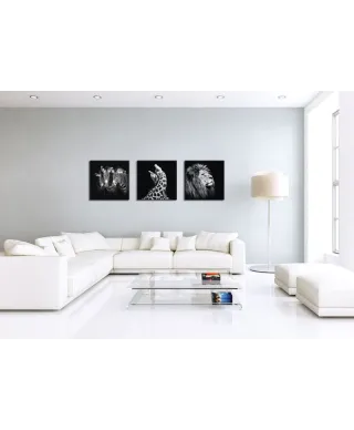 Obraz do salonu - Majesty