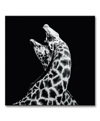 Obraz do salonu - In Love