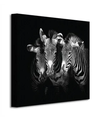 Obraz do salonu - Shades Of Grevy