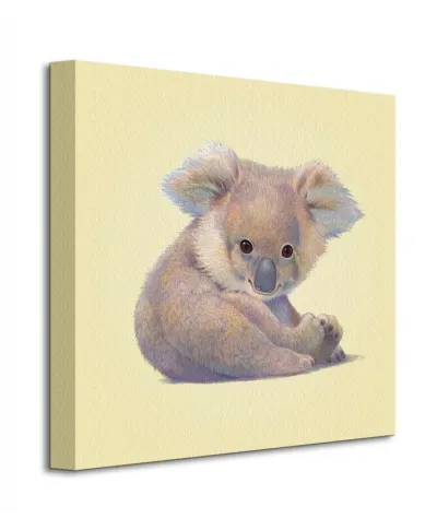 Obraz na płótnie - Koala - 40x40 cm
