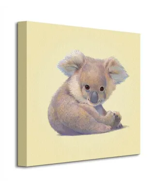 Obraz na płótnie - Koala - 40x40 cm