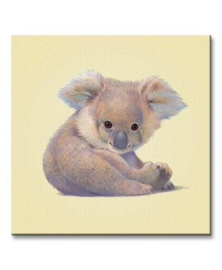 Obraz na płótnie - Koala - 40x40 cm