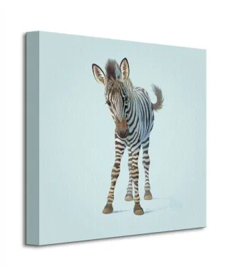 Obraz dla dzieci - Zebra - 40x40 cm