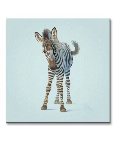 Obraz dla dzieci - Zebra - 40x40 cm