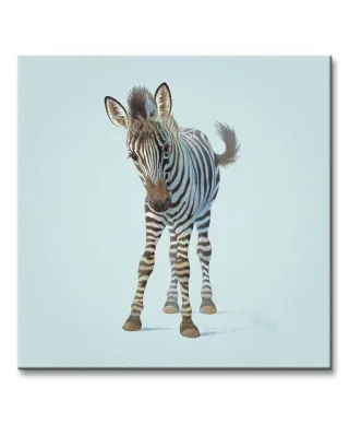 Obraz dla dzieci - Zebra - 40x40 cm