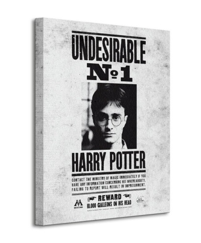 Obraz do sypialni - Harry Potter (Undesirable No.1)