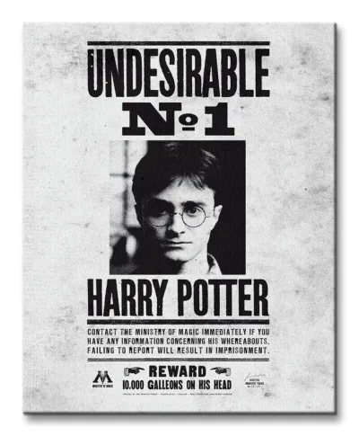 Obraz do sypialni - Harry Potter (Undesirable No.1)
