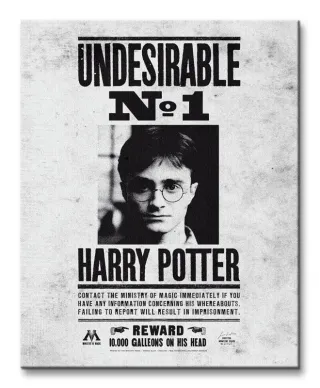 Obraz do sypialni - Harry Potter (Undesirable No.1)