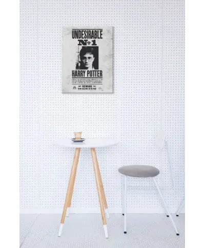 Obraz do sypialni - Harry Potter (Undesirable No.1)