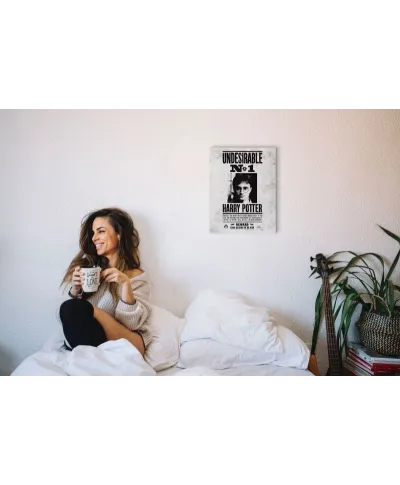 Obraz do sypialni - Harry Potter (Undesirable No.1)