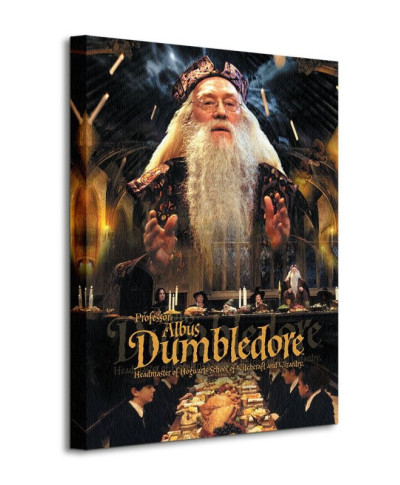 Obraz do sypialni - Harry Potter (Dumbledore)