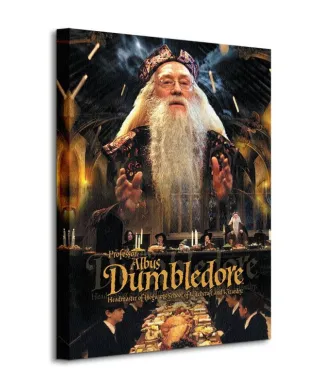 Obraz do sypialni - Harry Potter (Dumbledore)
