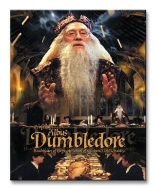 Obraz do sypialni - Harry Potter (Dumbledore)