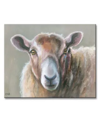 Obraz do sypialni - Looking Sheepish