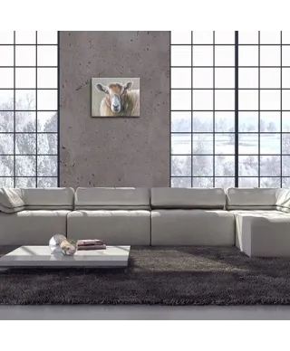 Obraz do sypialni - Looking Sheepish
