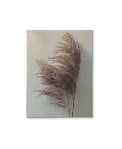 Pampas Grass II - obraz na płótnie