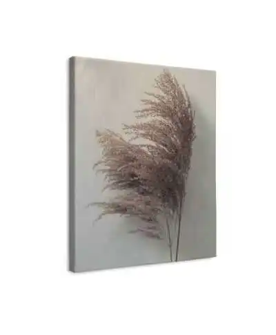 Pampas Grass II - obraz na płótnie