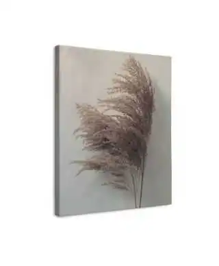 Pampas Grass II - obraz na płótnie