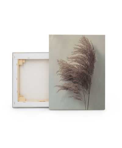 Pampas Grass II - obraz na płótnie